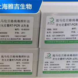 口蹄疫A型荧光PCR检测试剂盒