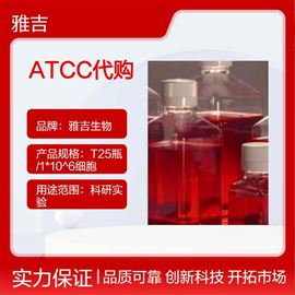 YS014C人高转移肺癌细胞；95-D细胞ATCC