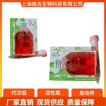 人卵巢上皮粘液癌細胞COV644細胞 ATCC