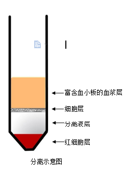 QQ图片20250228082914.png
