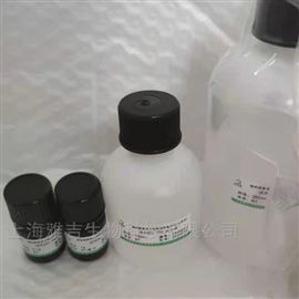 A3831-00HotStart Bst 4.2 DNA/RNA Polymerase试剂