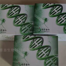 S0185AnnexinV-FIYS/PI细胞凋亡检测试剂盒